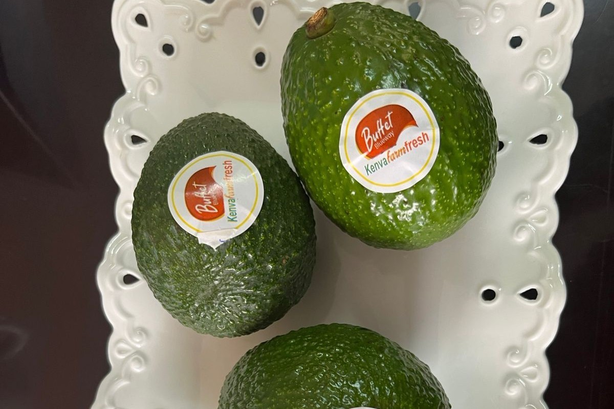 whatsapp image 2026 01 03 at 5.41.04 pm 1 1