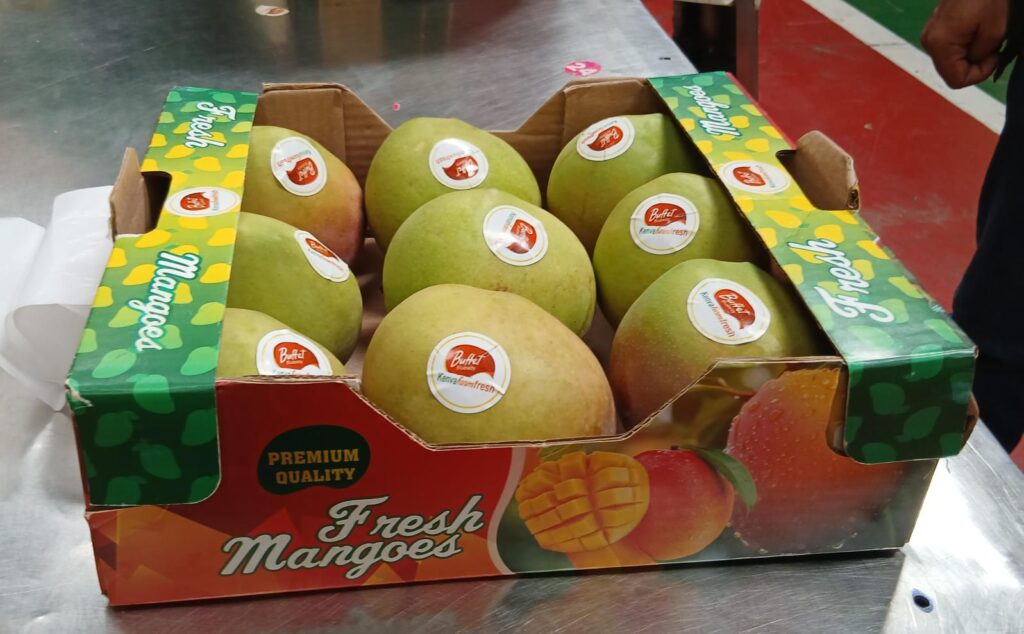 fresh mango 2026 01 03 at 5.40.29 pm