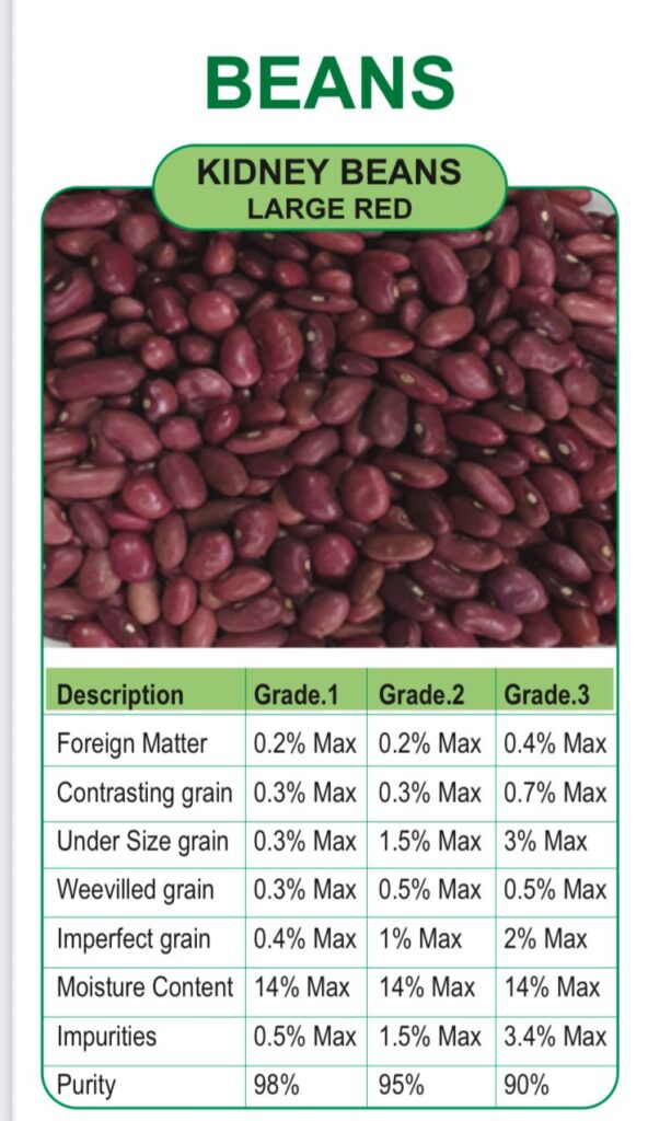 whatsapp image 2026 01 03 at 5.35.07 pm (1)