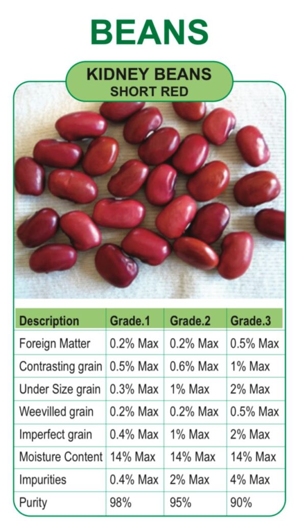 whatsapp image 2026 01 03 at 5.35.07 pm (2)