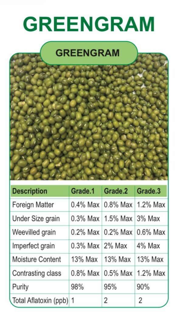 whatsapp image 2026 01 03 at 5.35.07 pm (3)