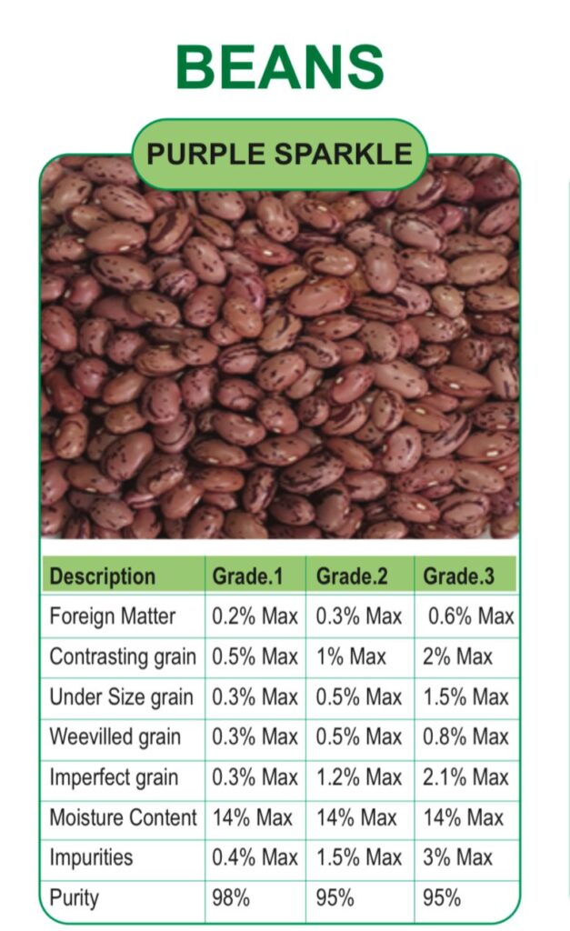 whatsapp image 2026 01 03 at 5.35.07 pm