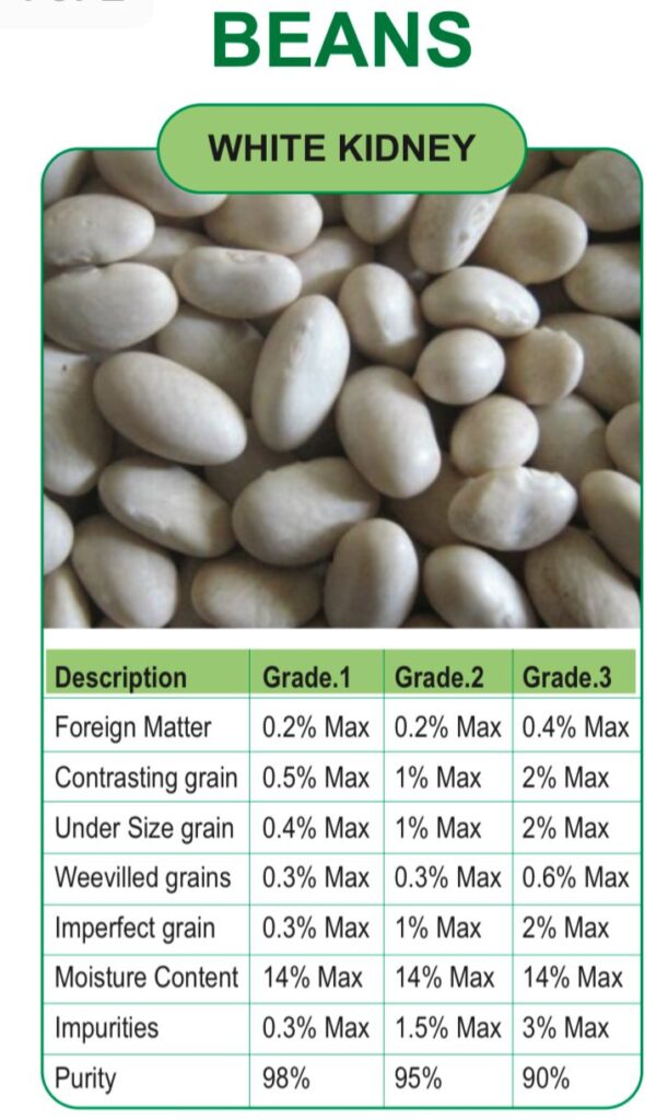 whatsapp image 2026 01 03 at 5.35.08 pm (1)