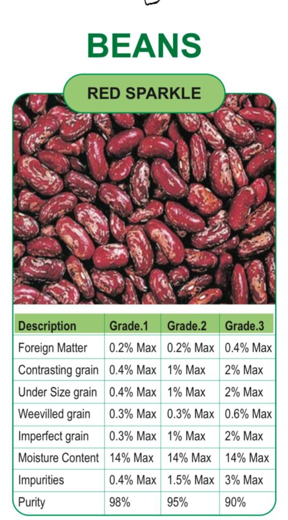 whatsapp image 2026 01 03 at 5.35.08 pm (2)