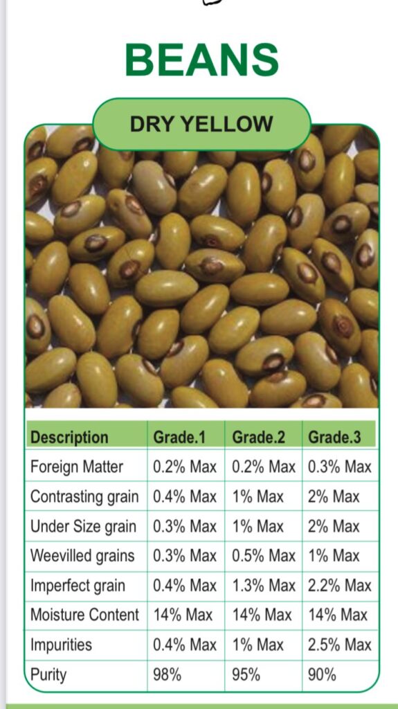 whatsapp image 2026 01 03 at 5.35.08 pm