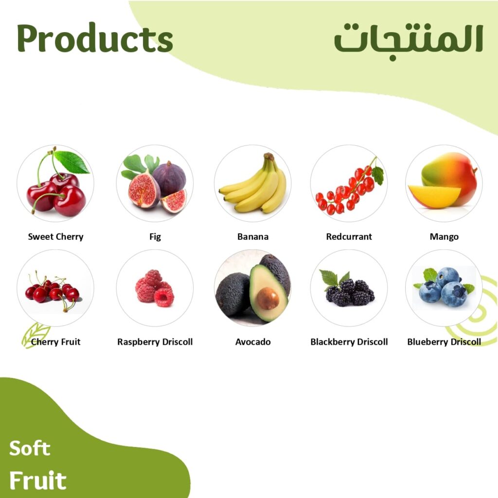 soft fruit